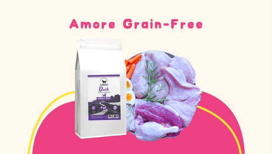 Amore Grain-Free: Přirozená výživa pro optimální zdraví vašeho mazlíčka