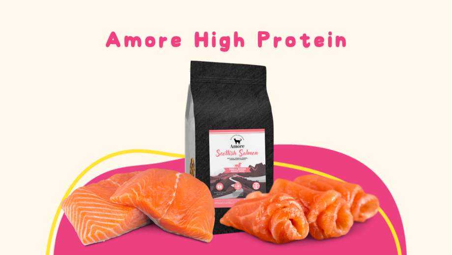 Amore High Protein: Revoluce ve výživě vašeho psa